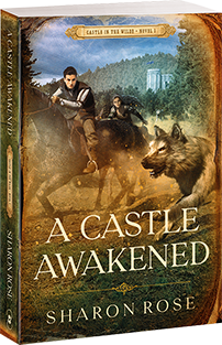 A Castle Awakened - novel 1