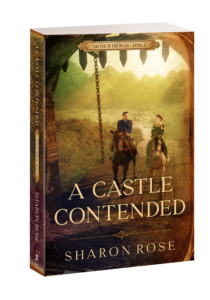A Castle Contended - Novel 2