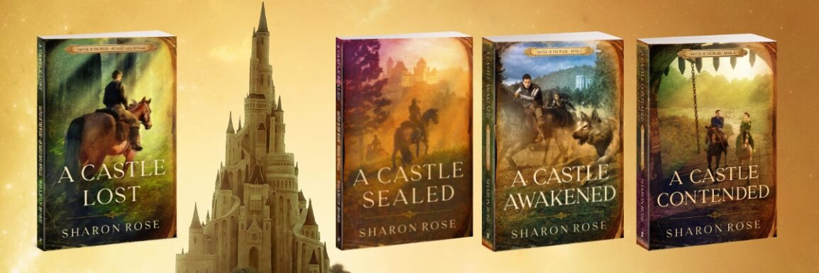 Four books of the Castle in the Wilde Series