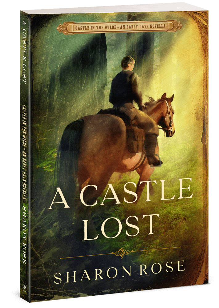 Book: A Castle Lost