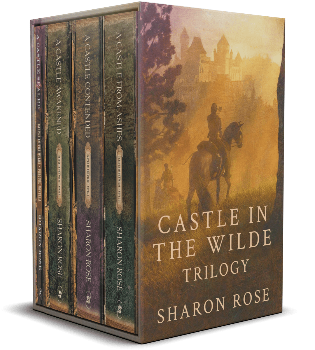 Castle in the Wilde by Sharon Rose